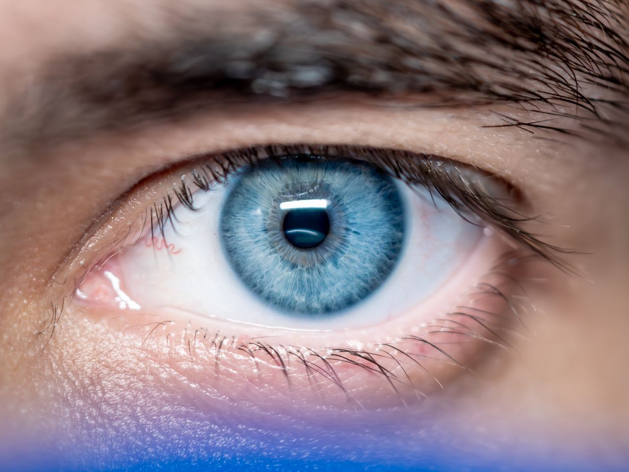 Macro shot of a human eye showcasing vibrant blue iris and clear details.